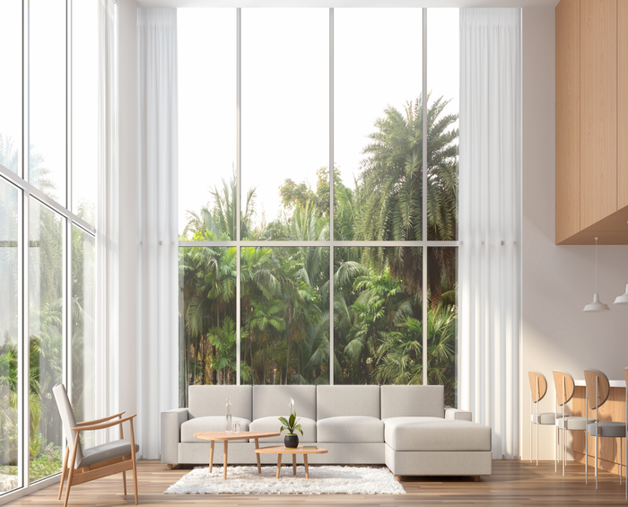 Vacuum Insulating Glass